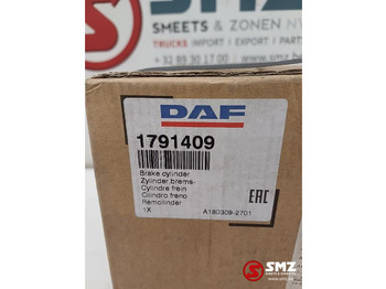 Cilindro de freno para Camión nuevo DAF Remcilinder links DAF: foto 5