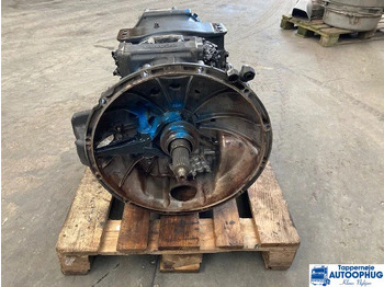 : imagen de cabecera