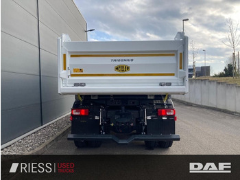 Leasing de DAF XFc 480 FAT 6x4 Intarder Bordmatik Trigenius DAF XFc 480 FAT 6x4 Intarder Bordmatik Trigenius DAF XFc 480 FAT 6x4 Intarder Bordmatik Trigenius DAF XFc 480 FAT 6x4 Intarder Bordmatik Trigenius: foto 5