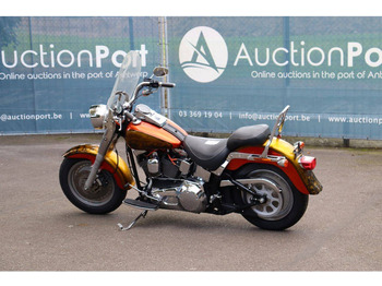 Motocicleta Harley-Davidson Fat Boy Softail: foto 3 Motocicleta Harley-Davidson Fat Boy Softail: foto 3