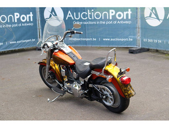 Motocicleta Harley-Davidson Fat Boy Softail: foto 4 Motocicleta Harley-Davidson Fat Boy Softail: foto 4