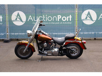 Motocicleta Harley-Davidson Fat Boy Softail: foto 2 Motocicleta Harley-Davidson Fat Boy Softail: foto 2