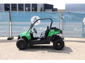 Carrito de golf nuevo Wextrem 200Pro: foto 2 Carrito de golf nuevo Wextrem 200Pro: foto 2