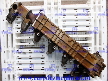 : imagen de cabecera