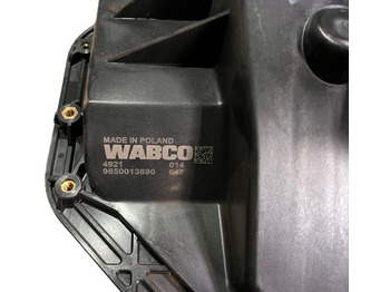 Pedal DAF: foto 3 Pedal DAF: foto 3