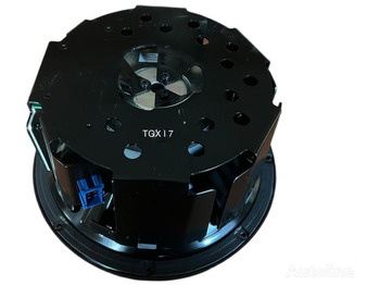 Cabina e interior MAN 2022: foto 4