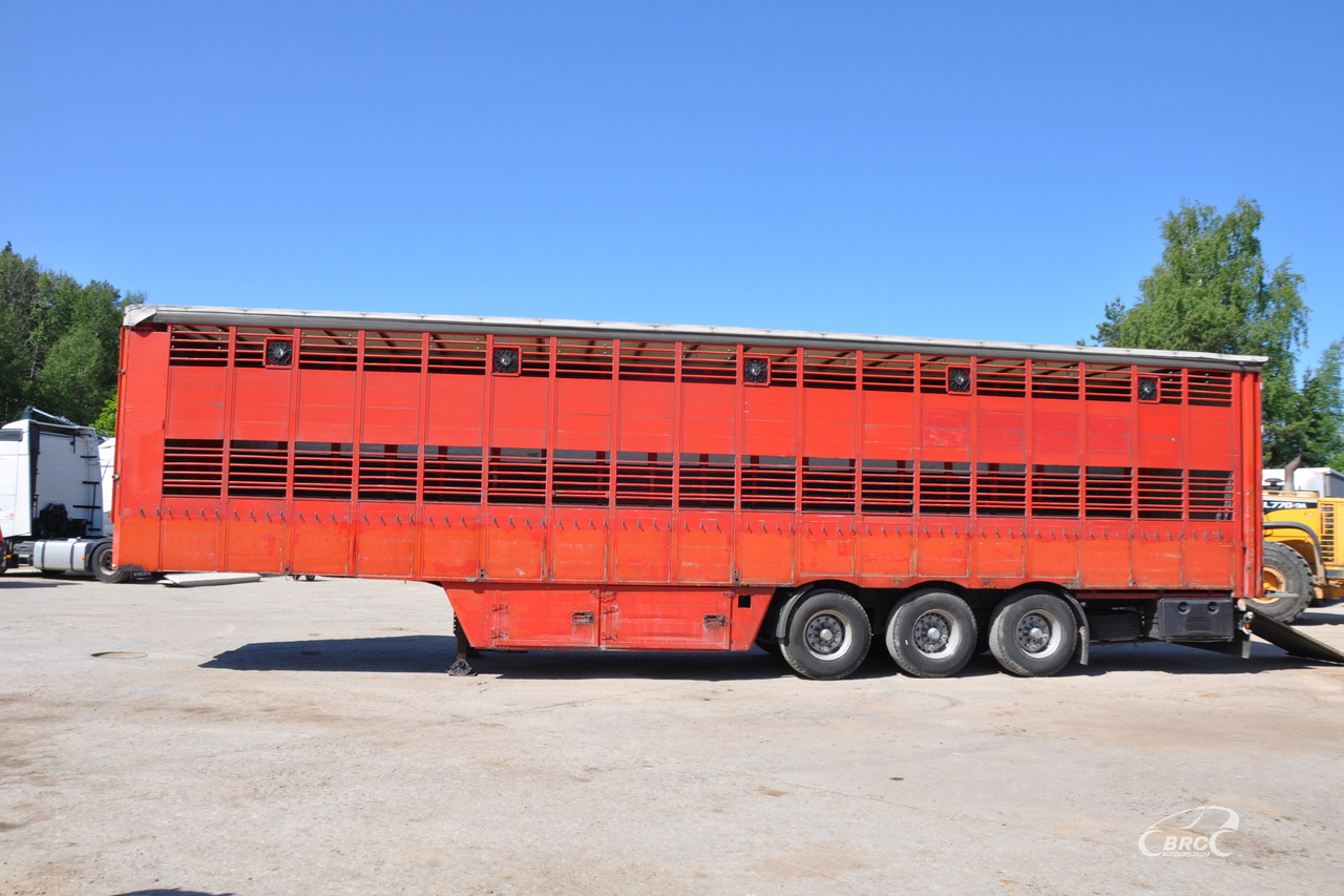 Pezzaioli SCT63U - Remolque transporte de ganado: foto 3 Pezzaioli SCT63U - Remolque transporte de ganado: foto 3