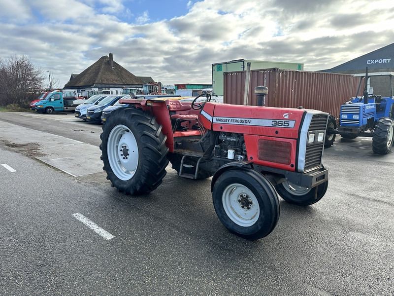 Massey Ferguson 365 - Tractor: foto 3 Massey Ferguson 365 - Tractor: foto 3