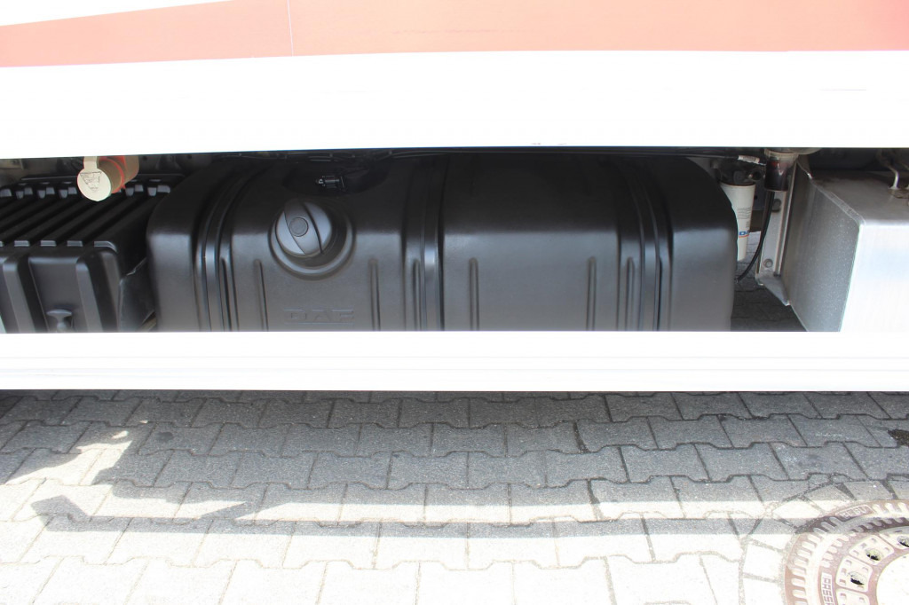 Daf LF 260 E6 Carrier Supra 550 Strom Tür LBW - Camión frigorífico: foto 4 Daf LF 260 E6 Carrier Supra 550 Strom Tür LBW - Camión frigorífico: foto 4