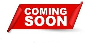 MAN TGS 18.320 4x4 Winterdienst Wechselsystem - Camión chasis: foto 3 MAN TGS 18.320 4x4 Winterdienst Wechselsystem - Camión chasis: foto 3