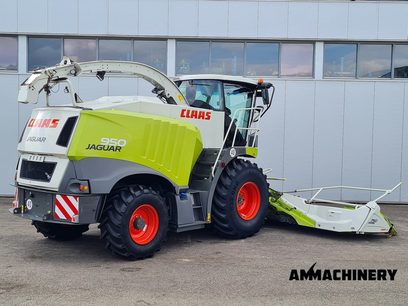 Claas Jaguar 950 4WD - Cosechadora de forraje: foto 5 Claas Jaguar 950 4WD - Cosechadora de forraje: foto 5