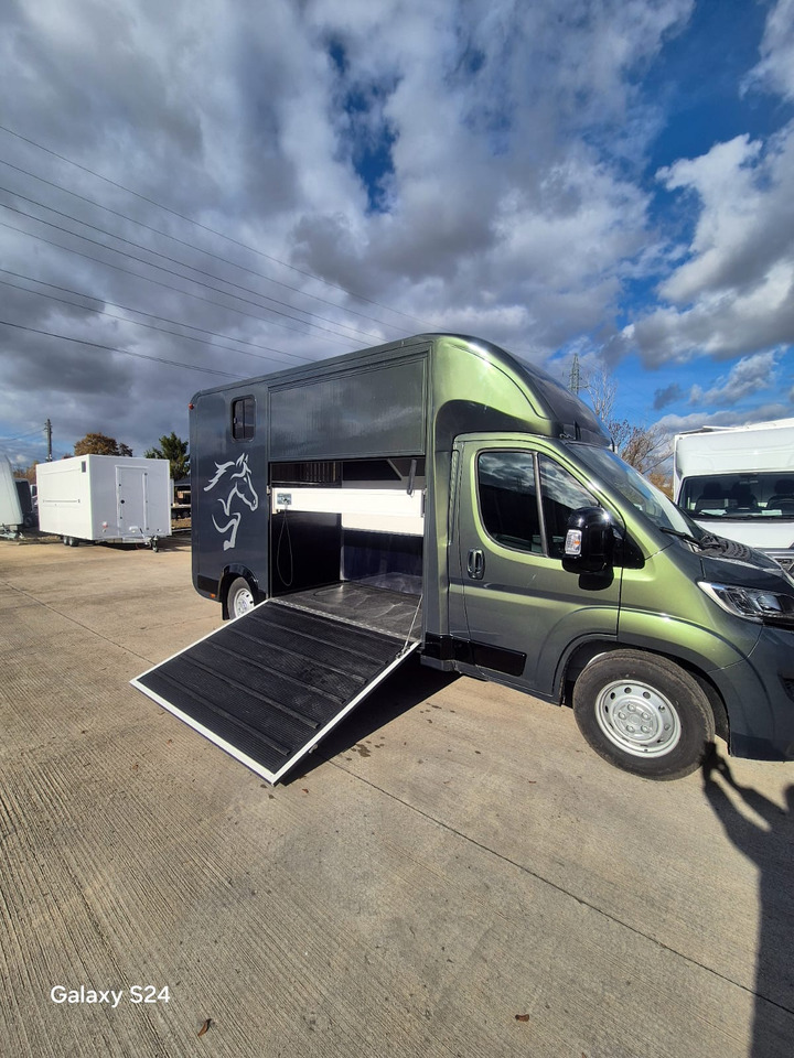 Opel Bannert Koniowoz / Horse Truck / In Stock - Camión para caballos: foto 2 Opel Bannert Koniowoz / Horse Truck / In Stock - Camión para caballos: foto 2