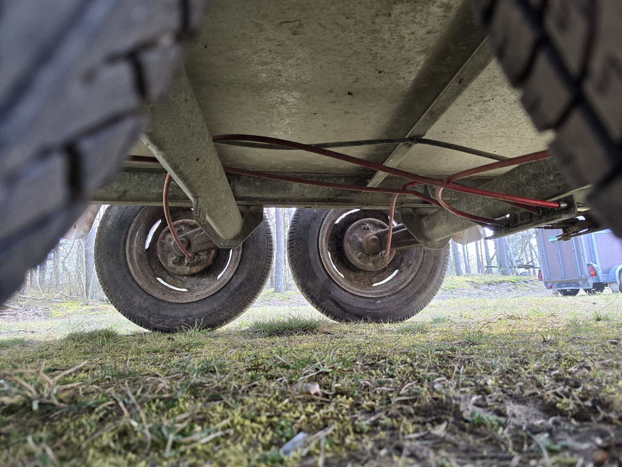 Remolque transporte de ganado PONGRATZ PA 310 T: foto 6