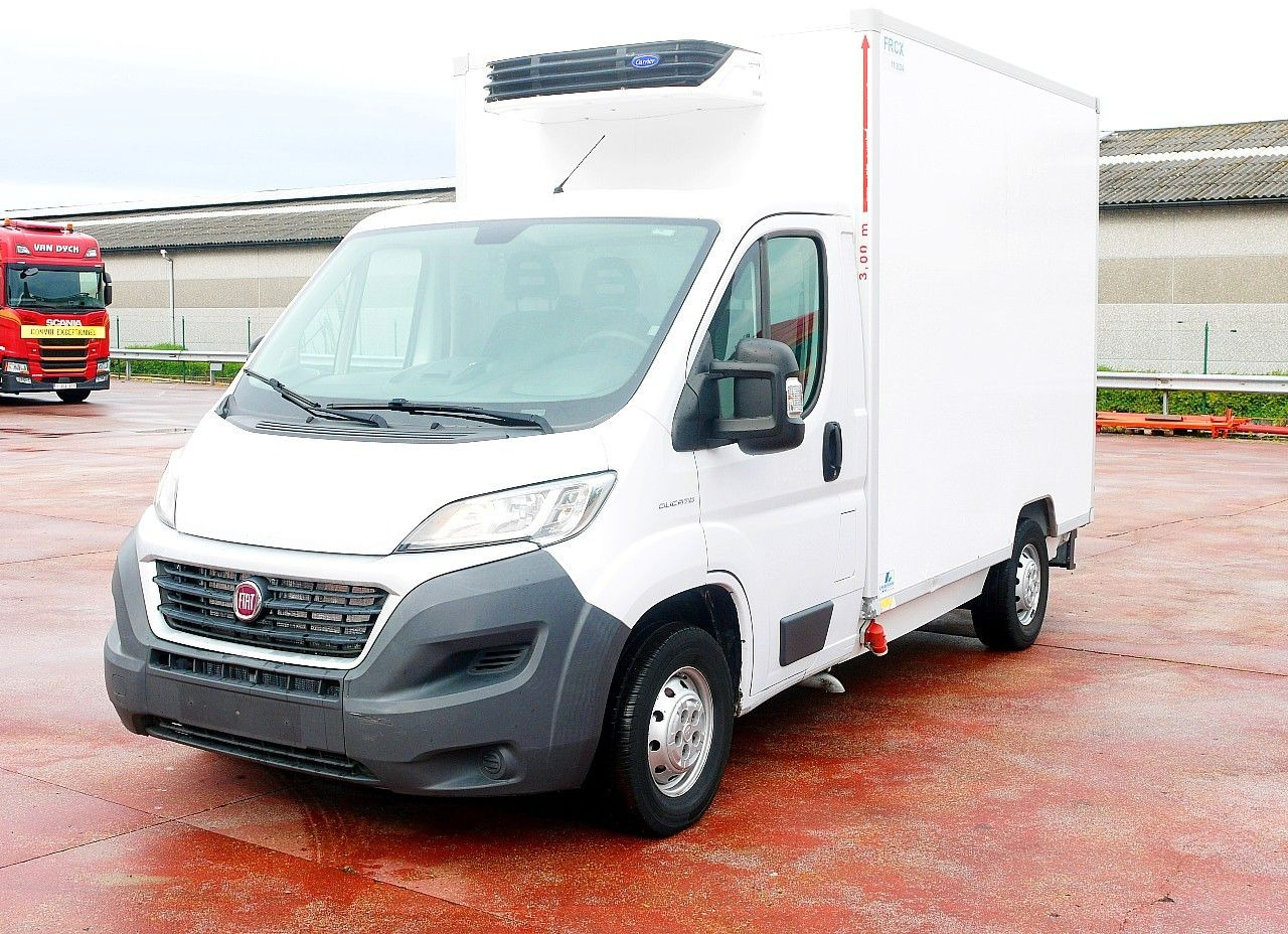 Fiat DUCATO 2.3 KUHLKOFFER FLEISH HAKEN CARRIER -20C - Furgoneta frigorifica: foto 5 Fiat DUCATO 2.3 KUHLKOFFER FLEISH HAKEN CARRIER -20C - Furgoneta frigorifica: foto 5