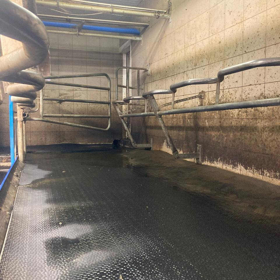 DeLaval Fischgrätenmelkstand Doppel 10er - Máquina de ordeño: foto 2 DeLaval Fischgrätenmelkstand Doppel 10er - Máquina de ordeño: foto 2