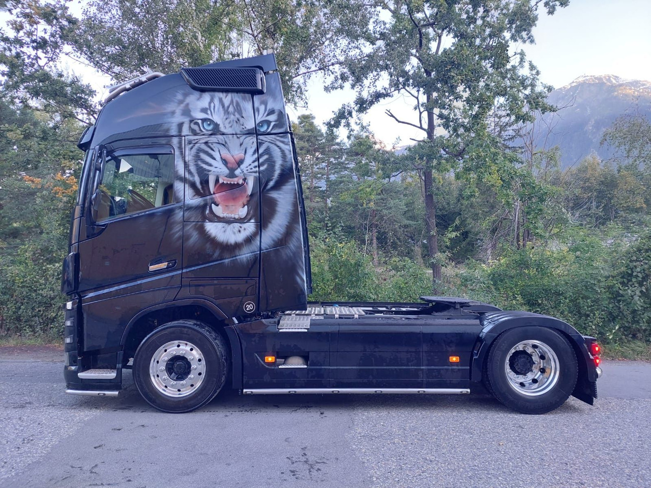 Cabeza tractora Volvo FH16-650 4x2, Euro 6, VEB, airbrush: foto 7