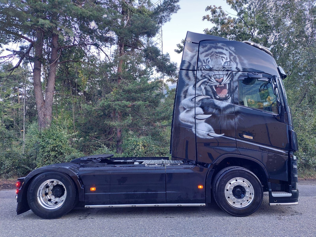 Cabeza tractora Volvo FH16-650 4x2, Euro 6, VEB, airbrush: foto 8