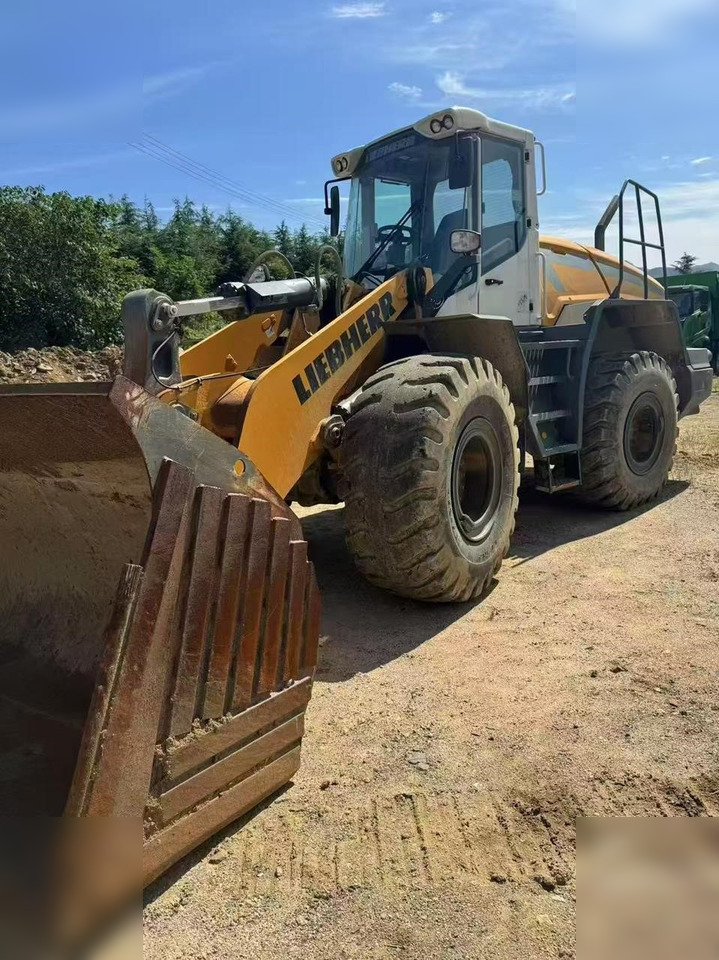 2020 LIEBHERR L550 - Cargadora de ruedas: foto 1 2020 LIEBHERR L550 - Cargadora de ruedas: foto 1
