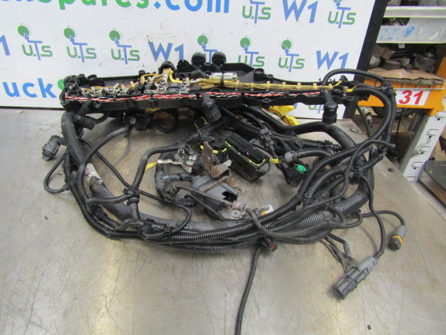 MAN TGM 340 DO836 FULL ENGINE WIRING HARNESS - Sistema eléctrico para Camión: foto 1 MAN TGM 340 DO836 FULL ENGINE WIRING HARNESS - Sistema eléctrico para Camión: foto 1