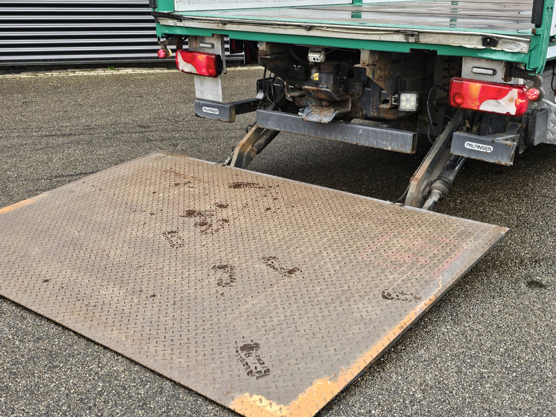 Camión grúa Scania P320 4x2 / PALFINGER 14TM / CRANE/KRAN/GRUE: foto 20 Camión grúa Scania P320 4x2 / PALFINGER 14TM / CRANE/KRAN/GRUE: foto 20