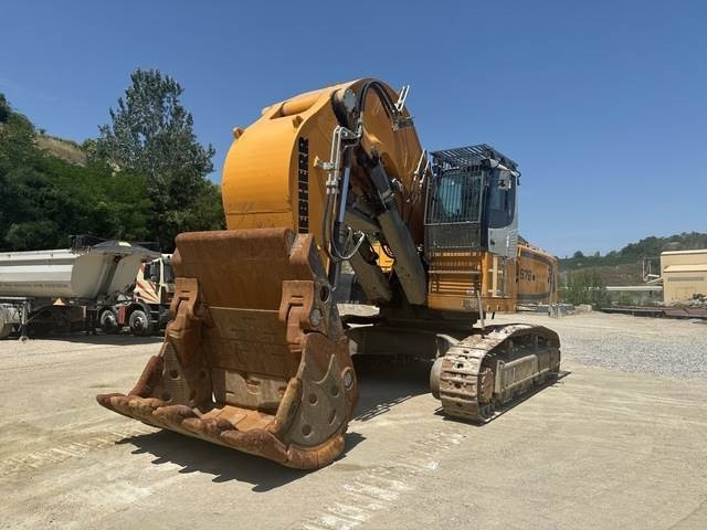 Liebherr R976 HD - Excavadora de cadenas: foto 1 Liebherr R976 HD - Excavadora de cadenas: foto 1