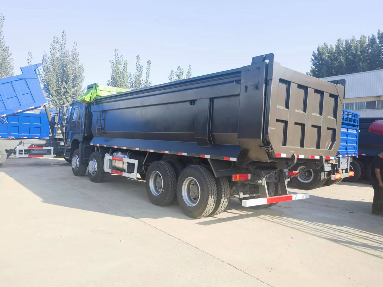 Camión volquete Sinotruk HOWO 8*4 Dump truck: foto 9 Camión volquete Sinotruk HOWO 8*4 Dump truck: foto 9