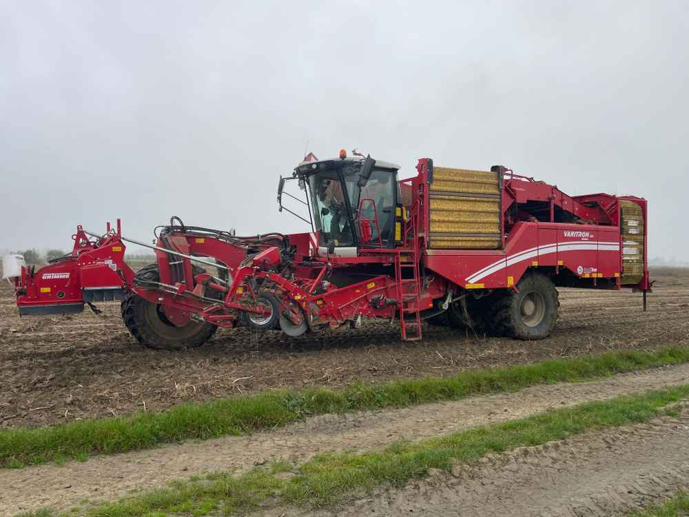 Grimme VARITRON 270 RS VARIO MULTISEP - Cosechadora: foto 1 Grimme VARITRON 270 RS VARIO MULTISEP - Cosechadora: foto 1