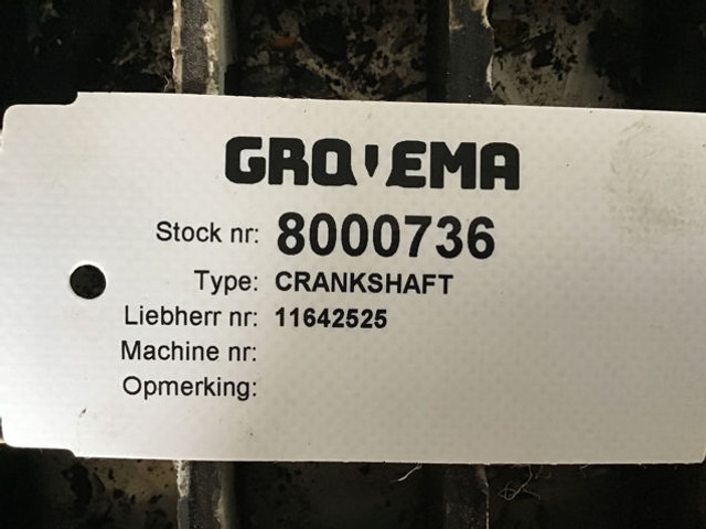 Liebherr Crankshaft - Cigüeñal: foto 5 Liebherr Crankshaft - Cigüeñal: foto 5