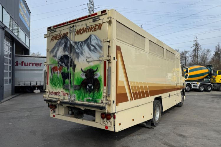 DAF CF410 4x2 - Camión para caballos: foto 5 DAF CF410 4x2 - Camión para caballos: foto 5