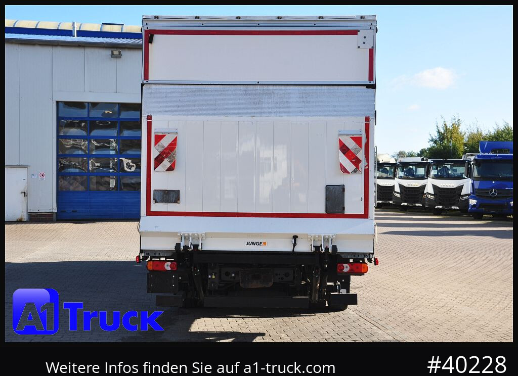 Camión lona RENAULT D 280,  4x2, Ladebordwand, LBW, TÜV 06/2026: foto 10