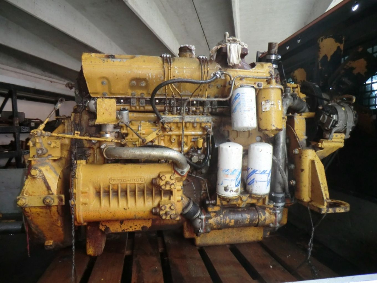 FIAT 8215-02 *542 Motore perfettamente funzionante completo di pompa nafta e iniettori revisionati. - Motor para Maquinaria de construcción: foto 1 FIAT 8215-02 *542 Motore perfettamente funzionante completo di pompa nafta e iniettori revisionati. - Motor para Maquinaria de construcción: foto 1