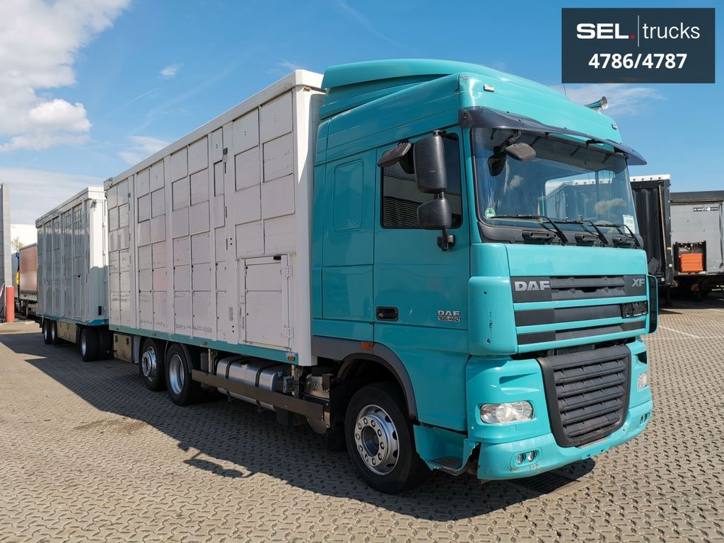 DAF XF 105.460 / Intarder / 4 Stock / KOMPLETT ! - Camión transporte de ganado: foto 4 DAF XF 105.460 / Intarder / 4 Stock / KOMPLETT ! - Camión transporte de ganado: foto 4