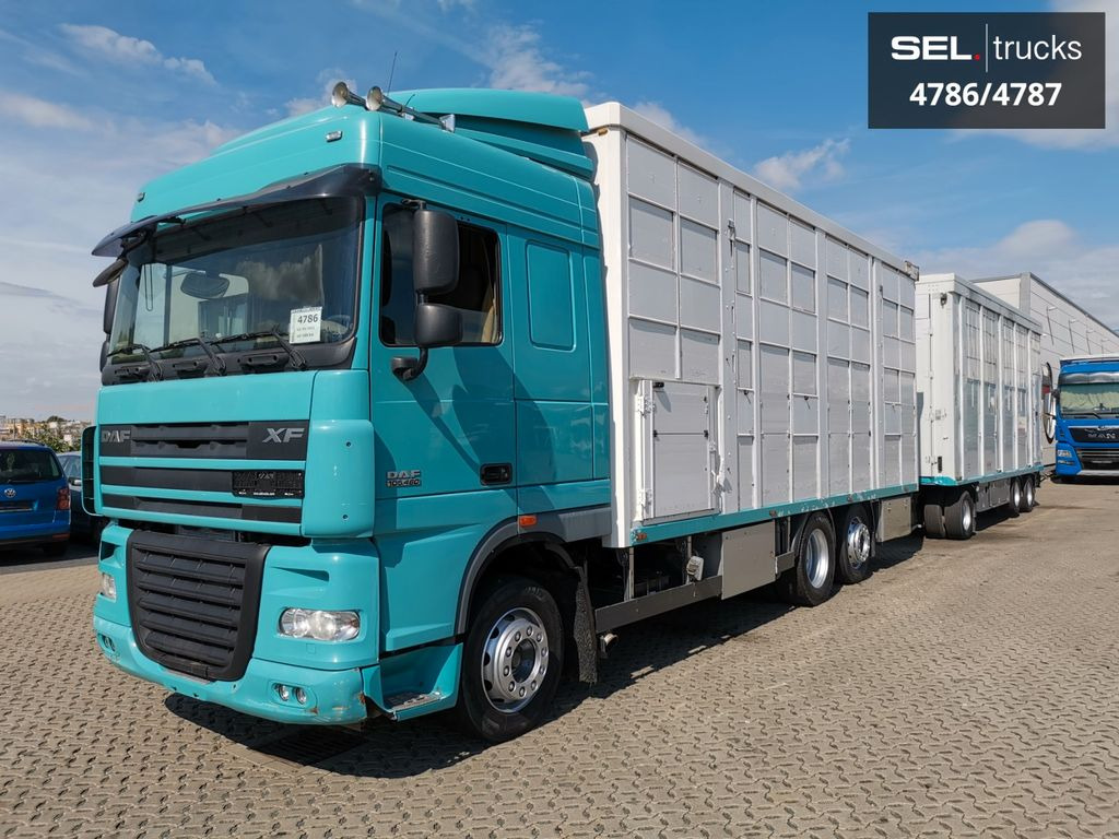 DAF XF 105.460 / Intarder / 4 Stock / KOMPLETT ! - Camión transporte de ganado: foto 2 DAF XF 105.460 / Intarder / 4 Stock / KOMPLETT ! - Camión transporte de ganado: foto 2