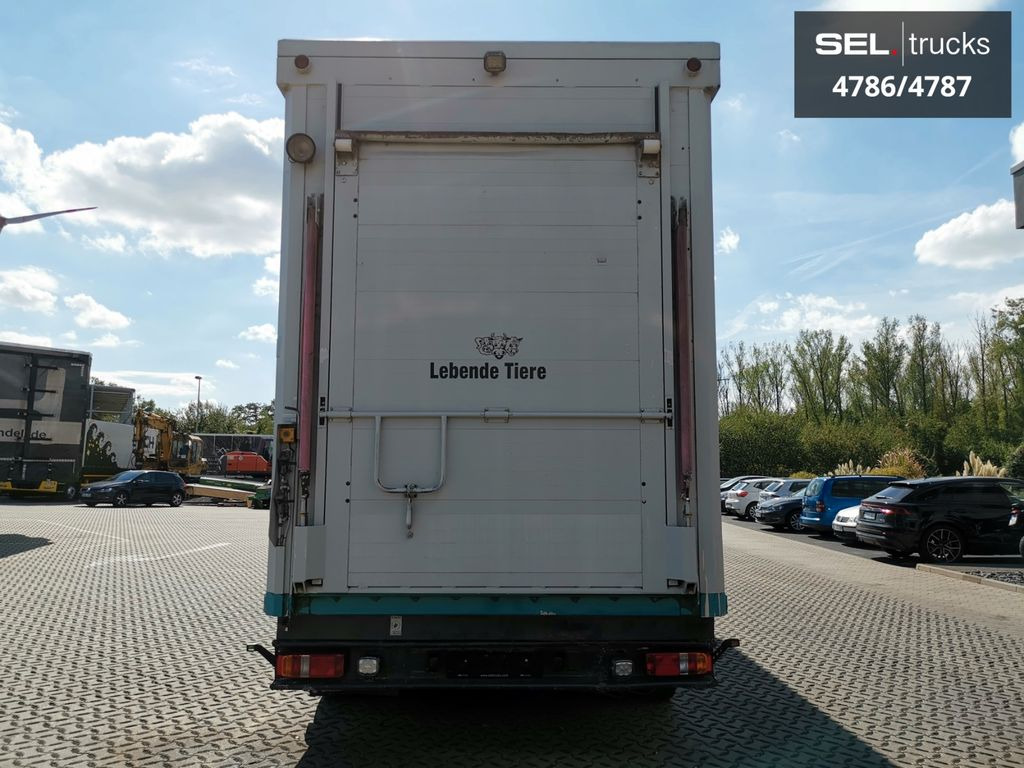 Camión transporte de ganado DAF XF 105.460 / Intarder / 4 Stock / KOMPLETT ! DAF XF 105.460 / Intarder / 4 Stock / KOMPLETT !: foto 6 Camión transporte de ganado DAF XF 105.460 / Intarder / 4 Stock / KOMPLETT ! DAF XF 105.460 / Intarder / 4 Stock / KOMPLETT !: foto 6