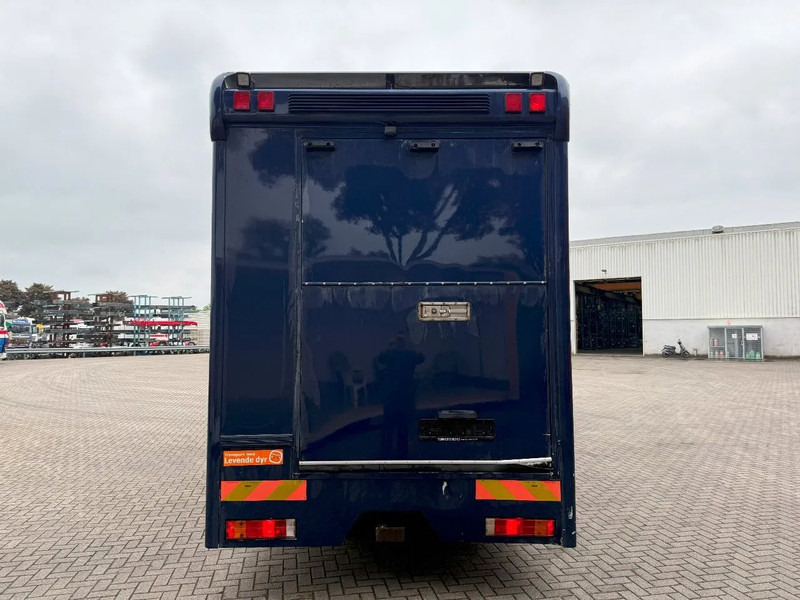 Mercedes-Benz Atego 1223 / ENGINE RUNNING / ONLY:159450 KM / HORSETRUCK / HEATED BOX / WATERTANK / LIVING ROOM / EURO-2 / MANUAL / 1998 - Camión para caballos: foto 4 Mercedes-Benz Atego 1223 / ENGINE RUNNING / ONLY:159450 KM / HORSETRUCK / HEATED BOX / WATERTANK / LIVING ROOM / EURO-2 / MANUAL / 1998 - Camión para caballos: foto 4