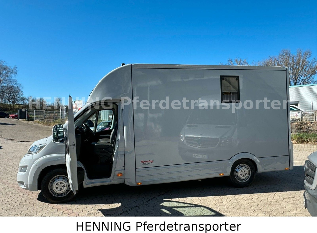 Camión para caballos nuevo Citroën Jumper 3 - Sitzer *AUFBAU NEU*: foto 14