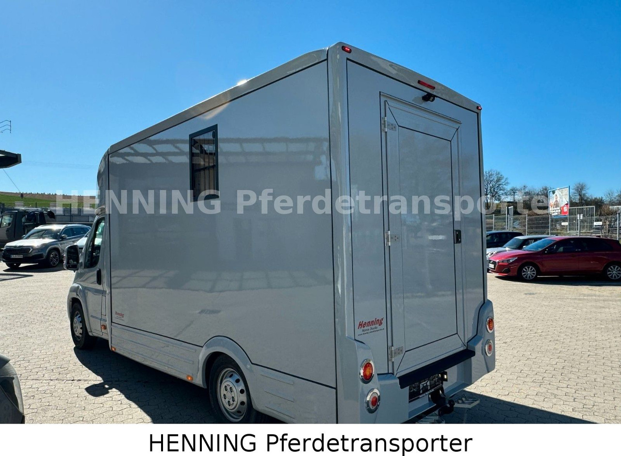 Camión para caballos nuevo Citroën Jumper 3 - Sitzer *AUFBAU NEU*: foto 13
