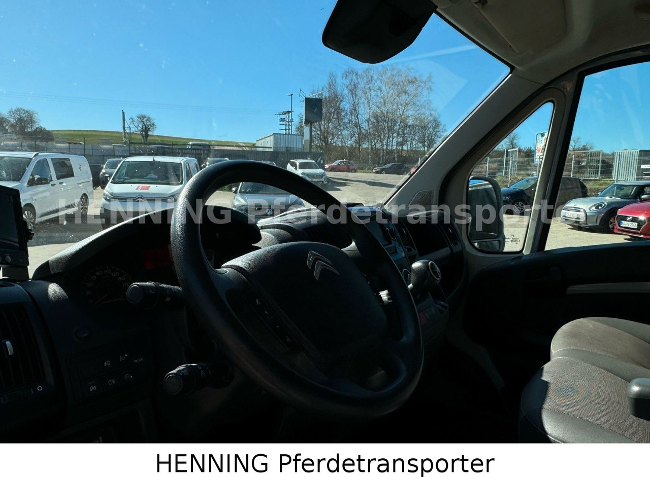 Camión para caballos nuevo Citroën Jumper 3 - Sitzer *AUFBAU NEU*: foto 16