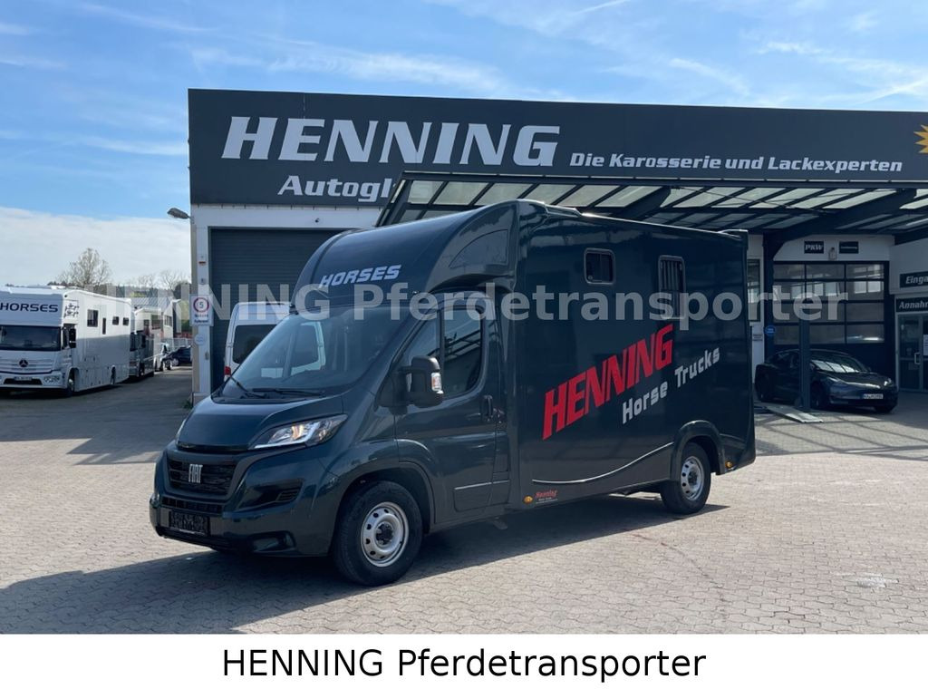 Fiat Ducato 3 - Sitzer *VORFÜHRUNGSFAHRZEUG* - Camión para caballos: foto 1 Fiat Ducato 3 - Sitzer *VORFÜHRUNGSFAHRZEUG* - Camión para caballos: foto 1