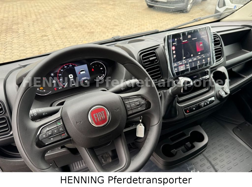 Camión para caballos Fiat Ducato *NEUWAGEN* ca.1100 kg Nutzlast: foto 15