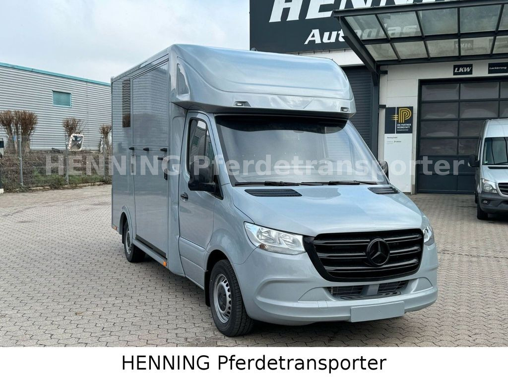 Mercedes-Benz Sprinter 3 - Sitzer *NEUFAHRZEUG* - Camión para caballos: foto 2 Mercedes-Benz Sprinter 3 - Sitzer *NEUFAHRZEUG* - Camión para caballos: foto 2