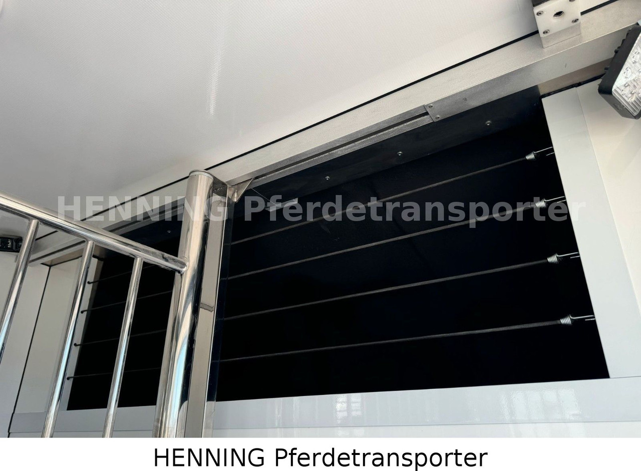 Camión para caballos Peugeot Boxer 3-Sitzer *NEUWAGEN* 1000 KG NUTZLAST: foto 7