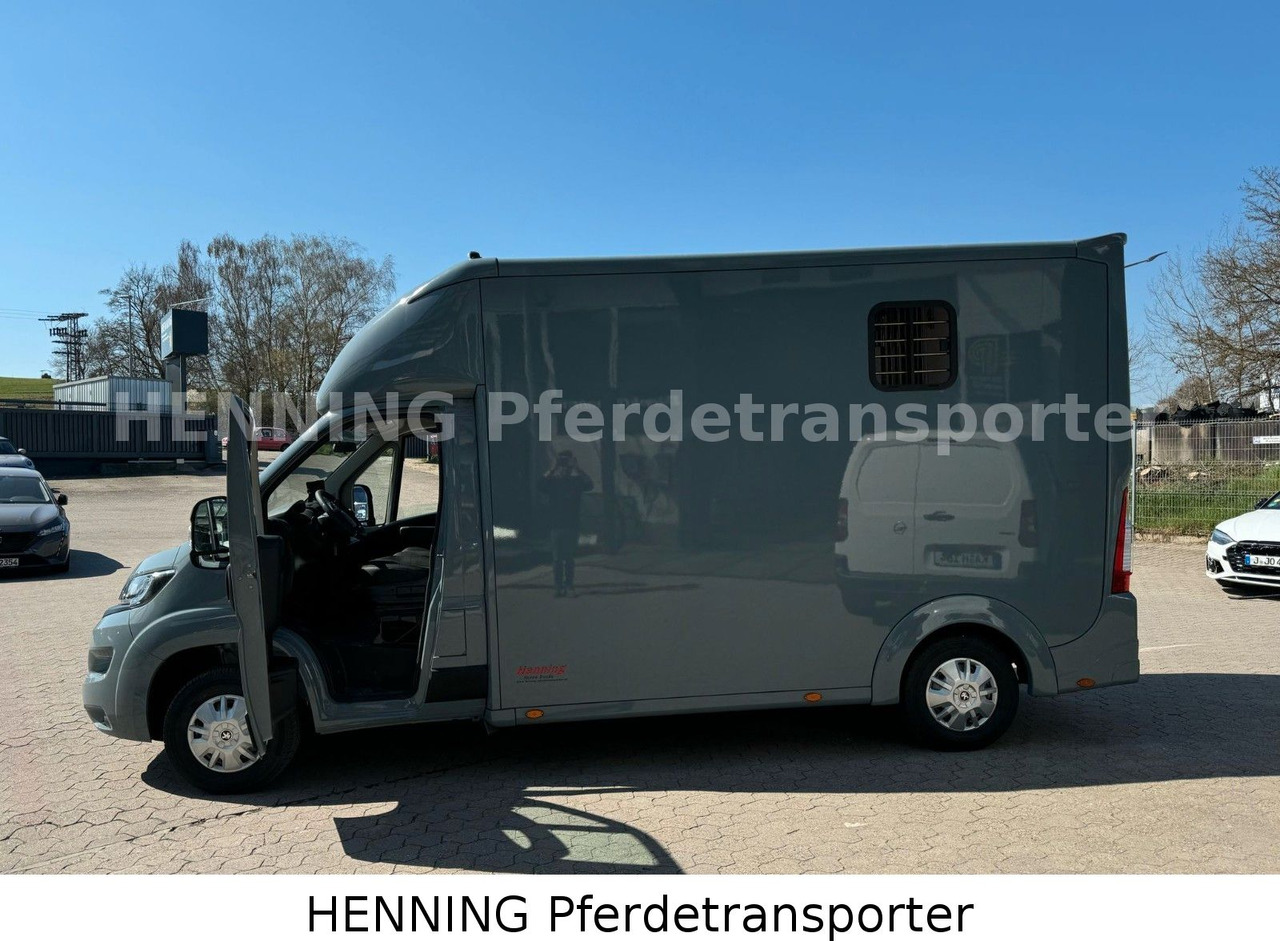 Camión para caballos Peugeot Boxer 3-Sitzer *NEUWAGEN* 1000 KG NUTZLAST: foto 13