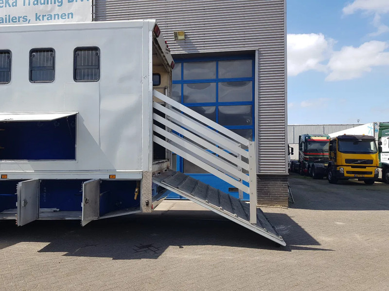 DAF 95.350 Paardenwagen met zitverblijf 7 paarden 7 horses - Camión para caballos: foto 5 DAF 95.350 Paardenwagen met zitverblijf 7 paarden 7 horses - Camión para caballos: foto 5