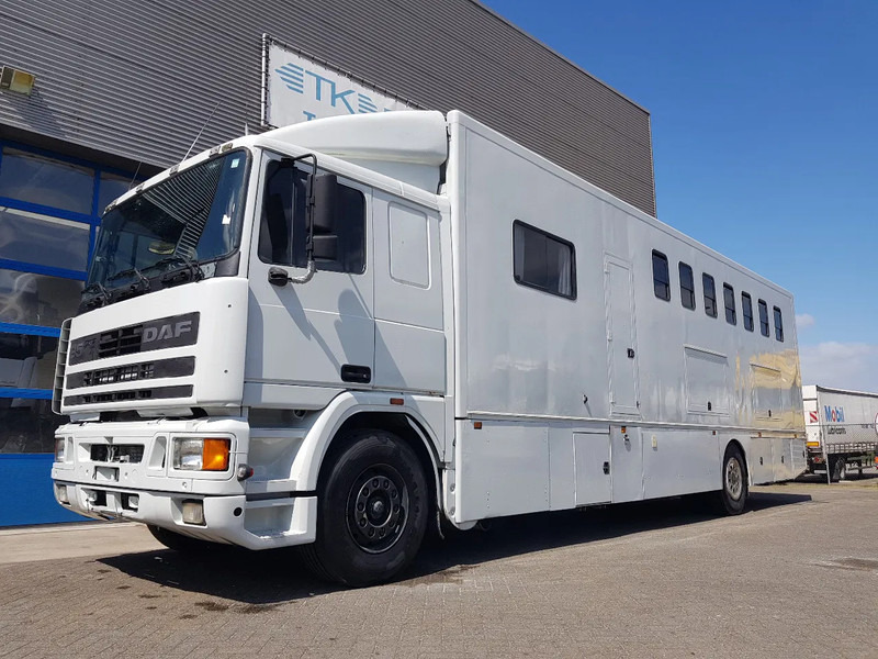 DAF 95.350 Paardenwagen met zitverblijf 7 paarden 7 horses - Camión para caballos: foto 1 DAF 95.350 Paardenwagen met zitverblijf 7 paarden 7 horses - Camión para caballos: foto 1