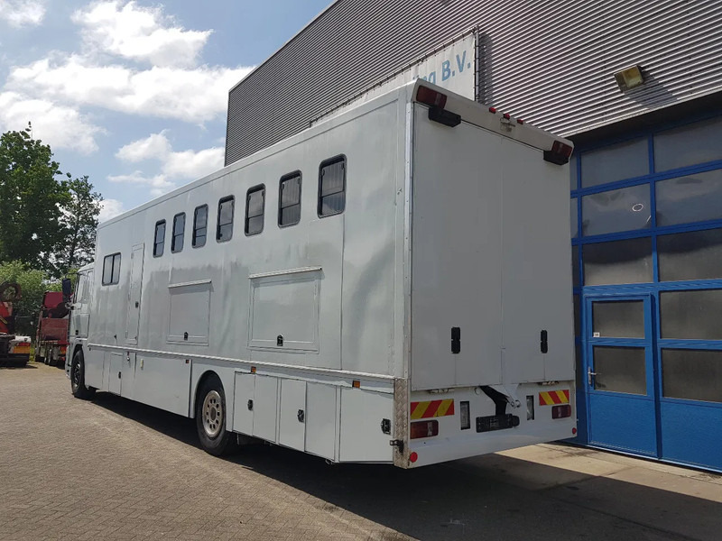 DAF 95.350 Paardenwagen met zitverblijf 7 paarden 7 horses - Camión para caballos: foto 4 DAF 95.350 Paardenwagen met zitverblijf 7 paarden 7 horses - Camión para caballos: foto 4