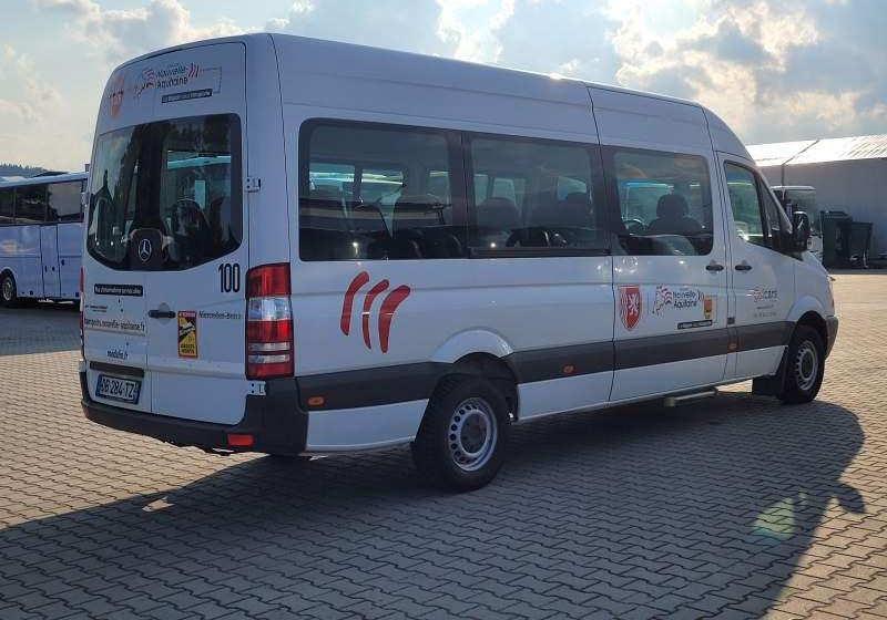 Minibús, Furgoneta de pasajeros Mercedes-Benz 513 SPRINTER TRANSFER / SPROWADZONY/ MANUAL: foto 20