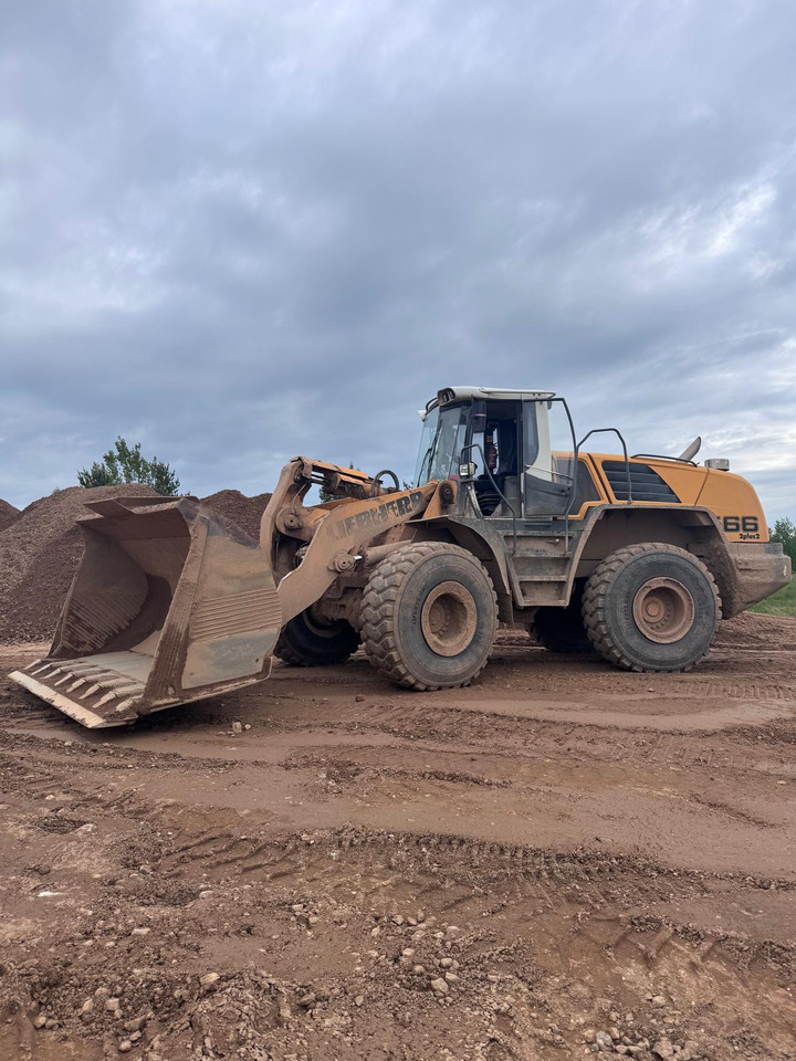 LIEBHERR L566 - Retroexcavadora: foto 1 LIEBHERR L566 - Retroexcavadora: foto 1