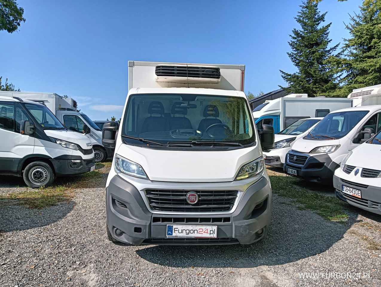 FIAT DUCATO KONTENER CHŁODNIA NR 783 - Furgoneta frigorifica: foto 2 FIAT DUCATO KONTENER CHŁODNIA NR 783 - Furgoneta frigorifica: foto 2