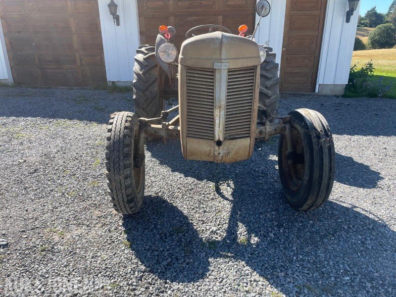 Tractor 1956 Massey Ferguson Gråtass: foto 1